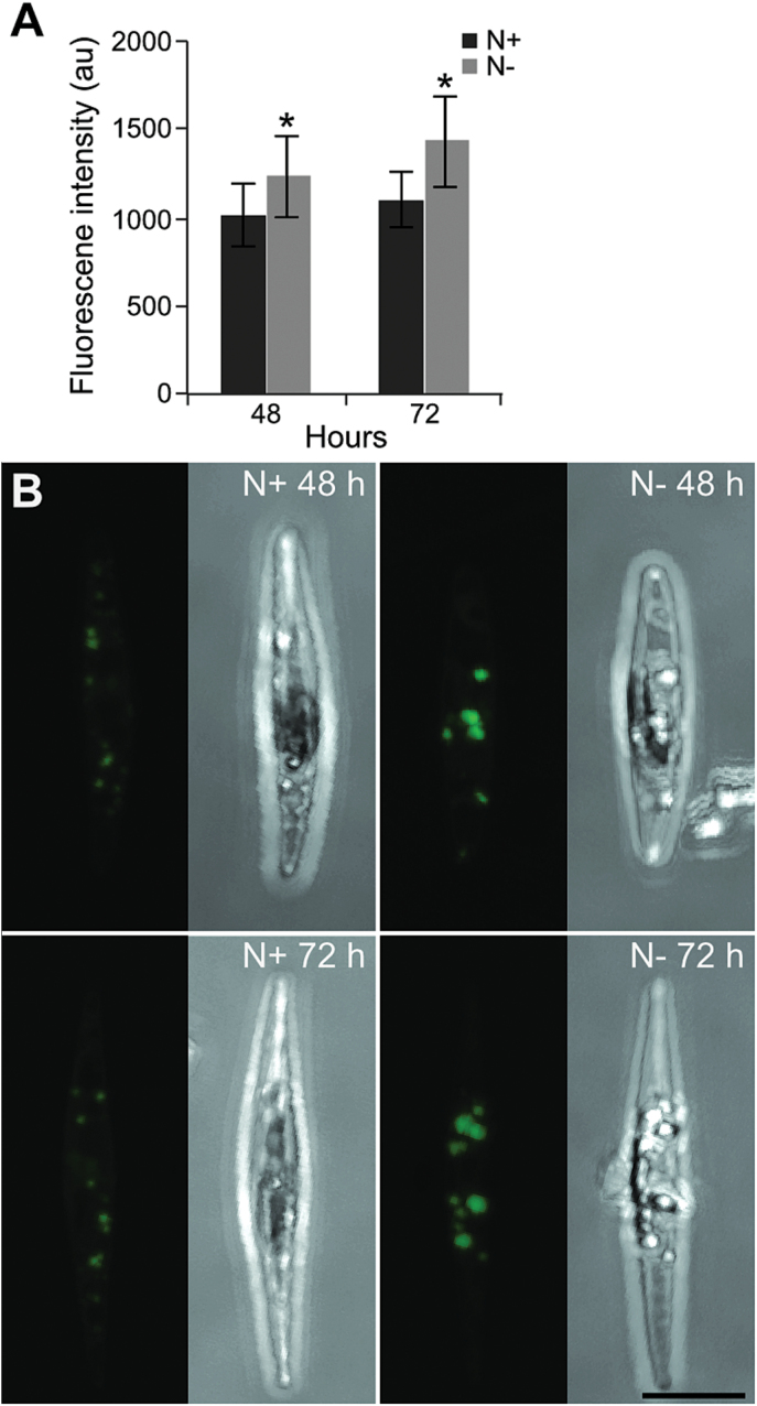 Fig. 2.