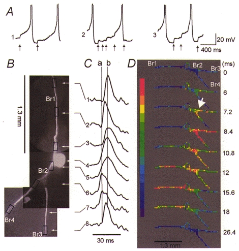 Figure 6