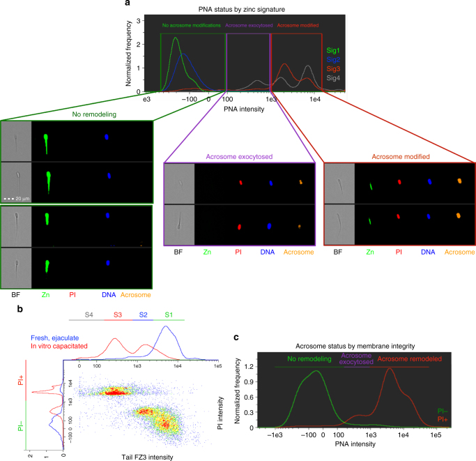 Fig. 3