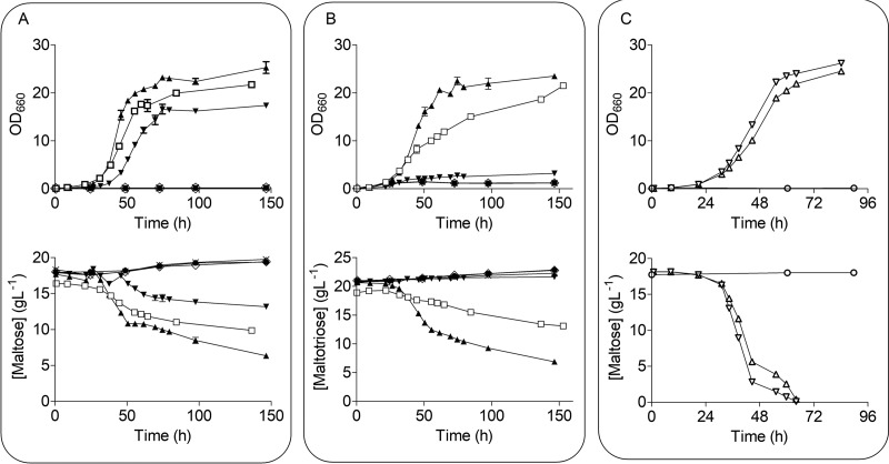 FIG 4