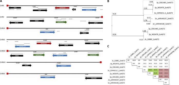 FIG 2