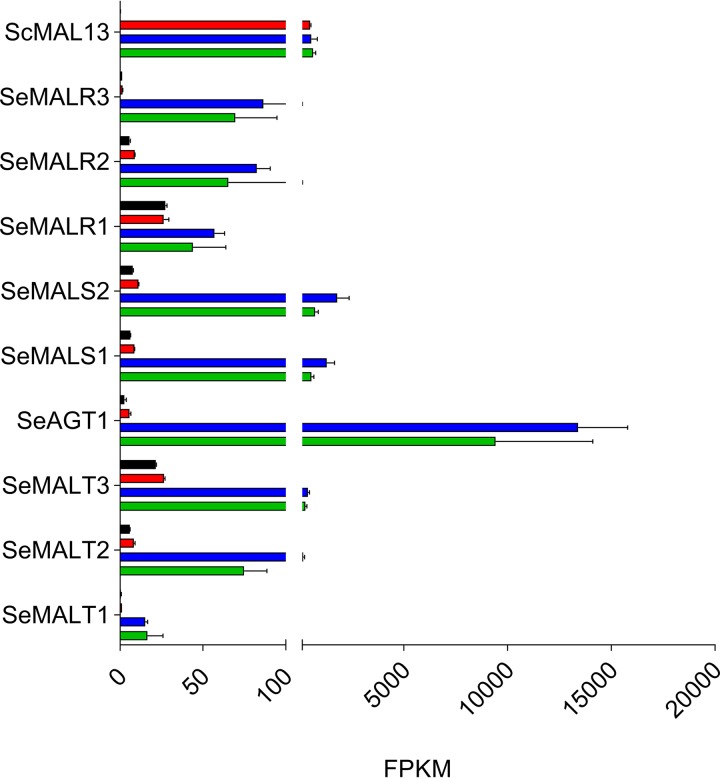 FIG 6