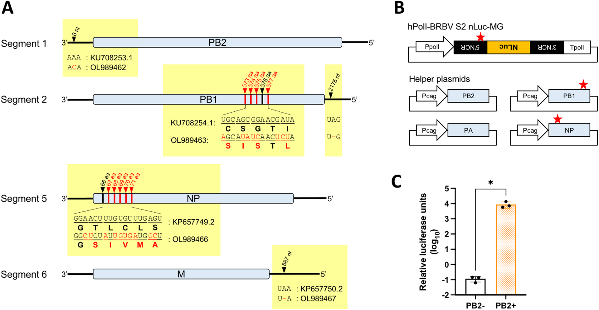 Fig. 1: