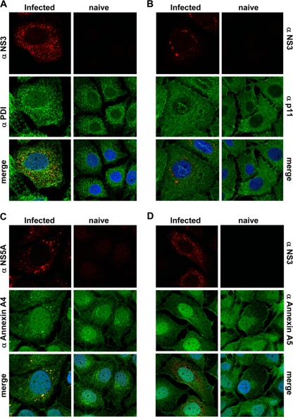 FIG. 4.