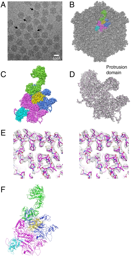 Fig. 1.