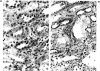 FIG. 1a,b