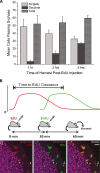 FIG. 9