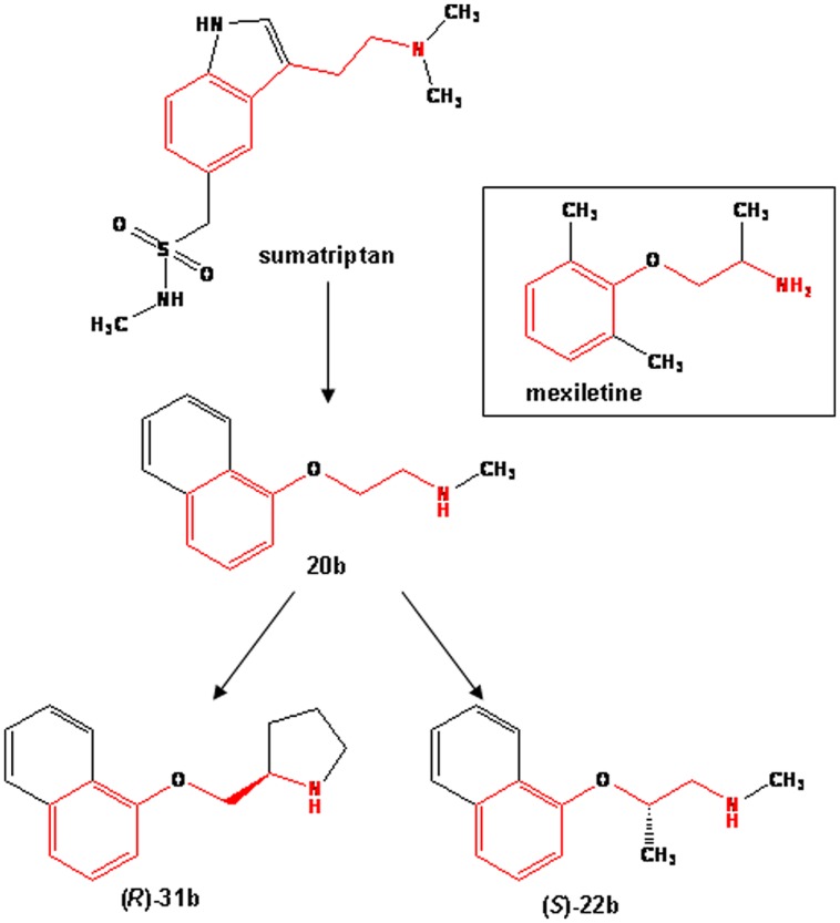 FIGURE 1