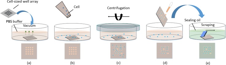 FIG. 1.