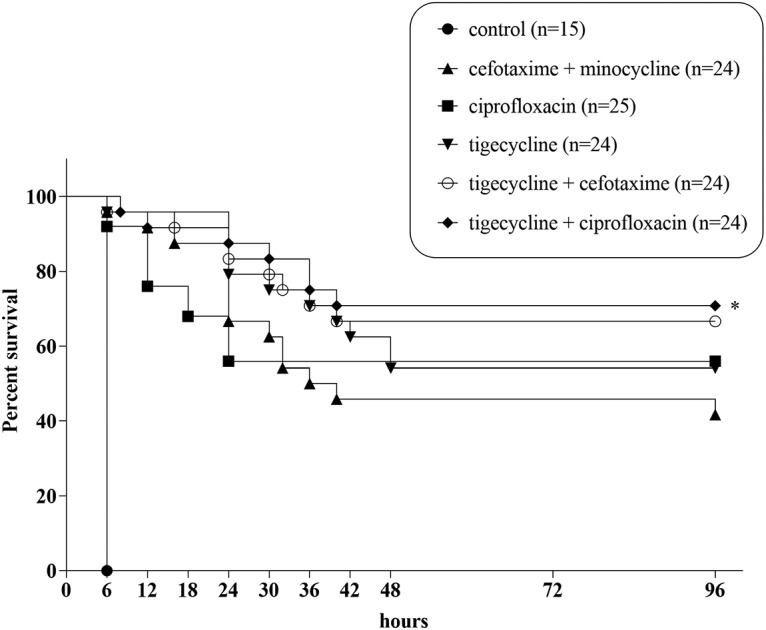 FIG 2