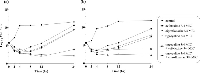 FIG 1