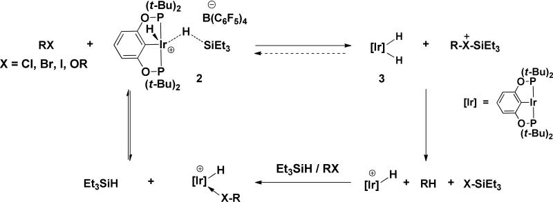 Scheme 2