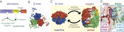 Fig. 1.