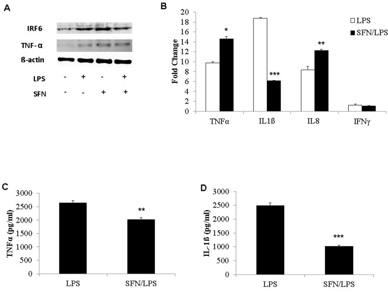 Fig 8