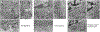 Extended Data Fig. 2