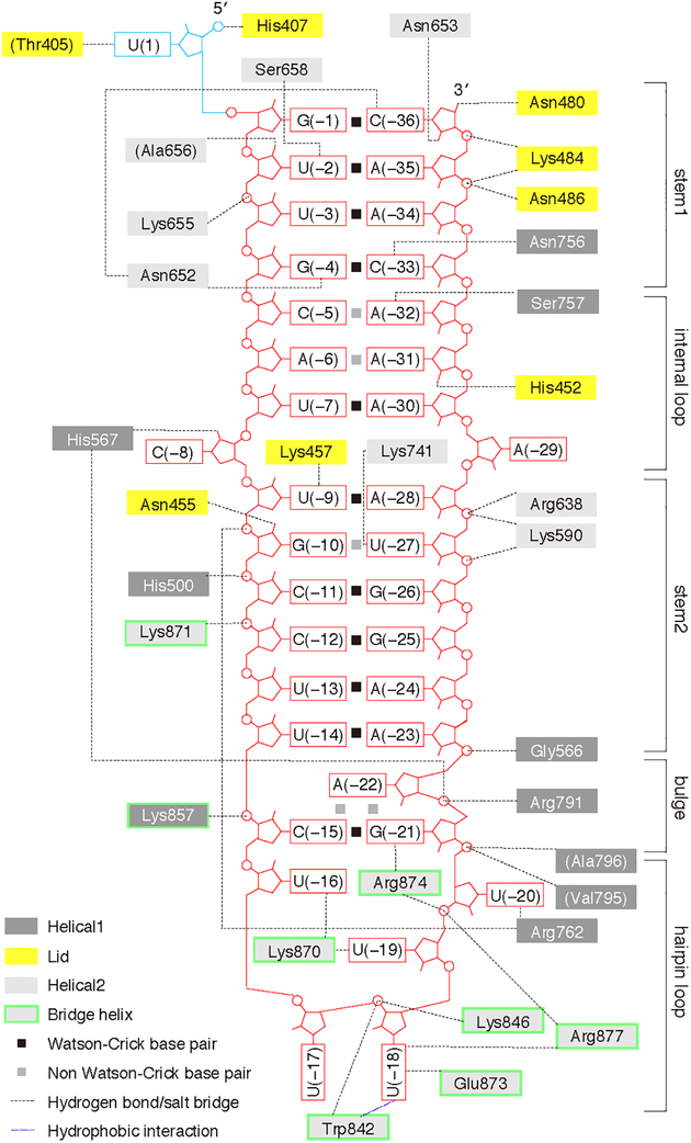 Figure 2.