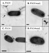 FIG. 6.