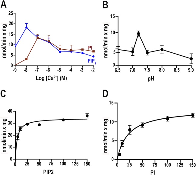 FIG 3