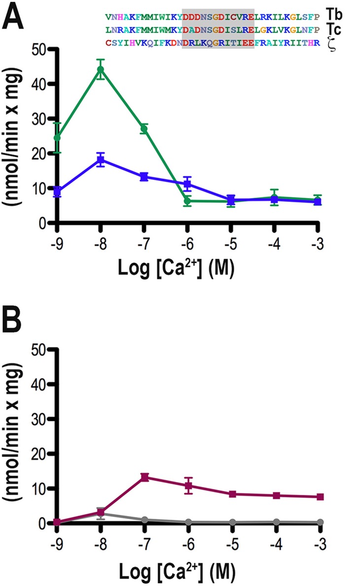 FIG 4