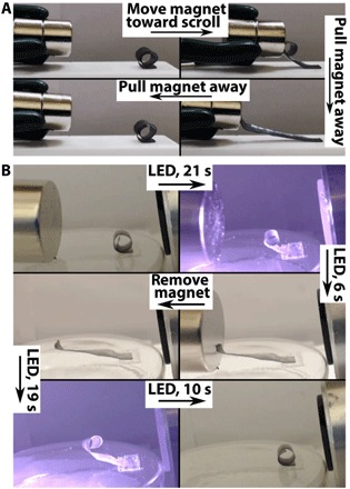 Fig. 3