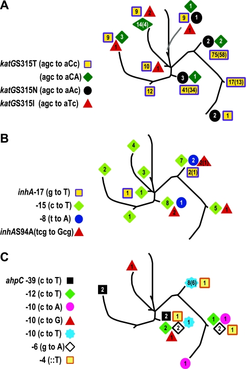 FIG. 2.