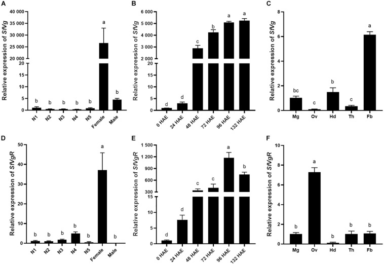 FIGURE 3