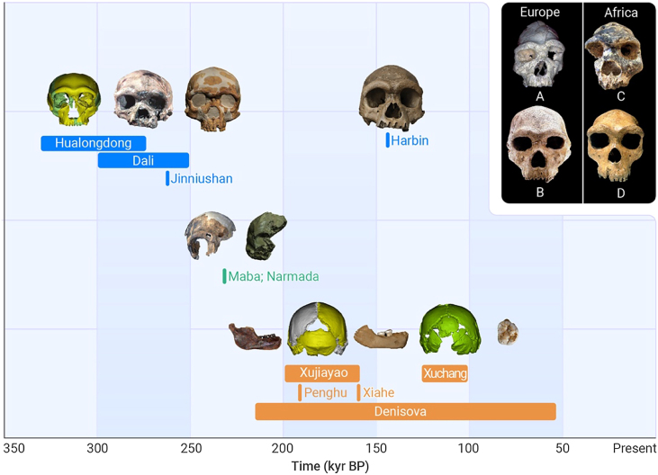 Figure 1