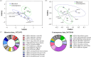 Community composition. Visual representation of dissimilarity between the bee community species composition