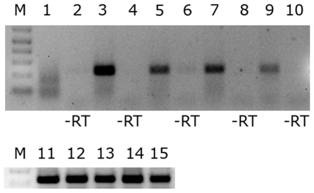 Figure 5