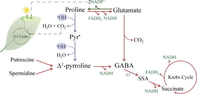 Fig 6