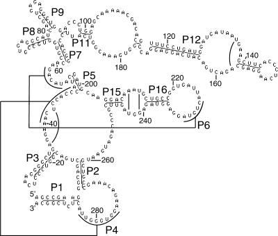 FIGURE 4.