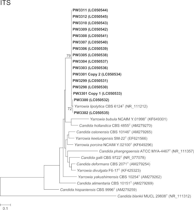 FIG 2