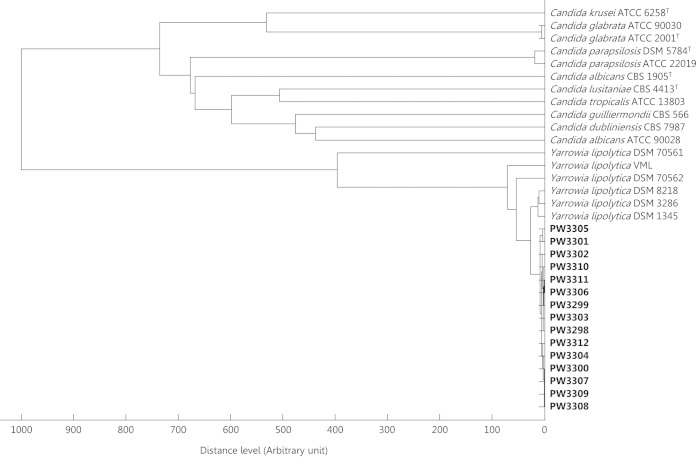 FIG 1