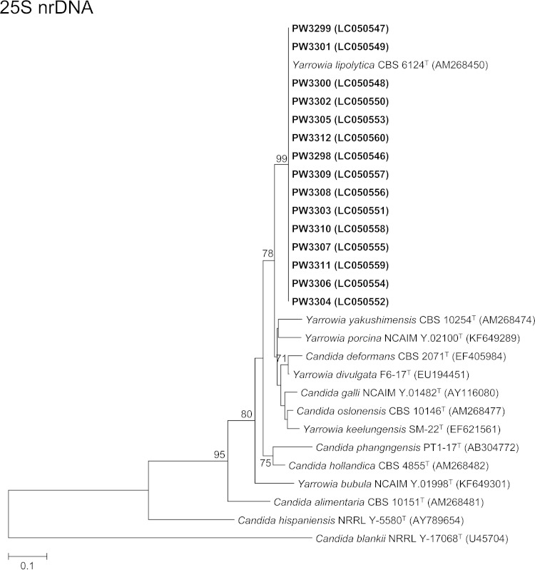 FIG 2