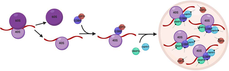 Figure 5: