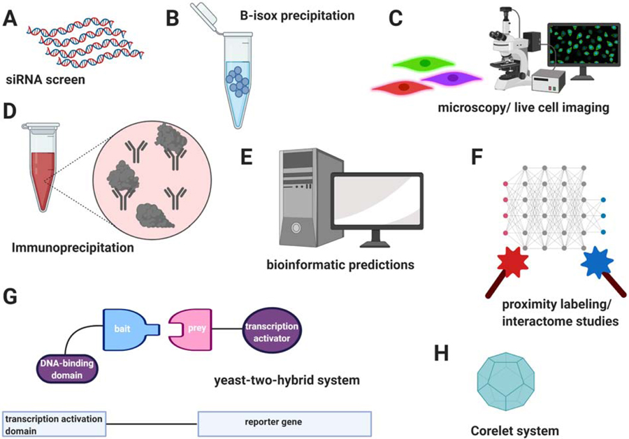 Figure 3: