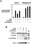 FIG. 6.