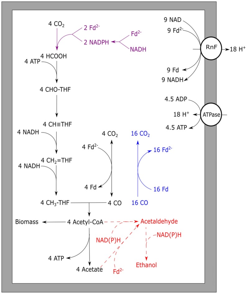 FIGURE 4