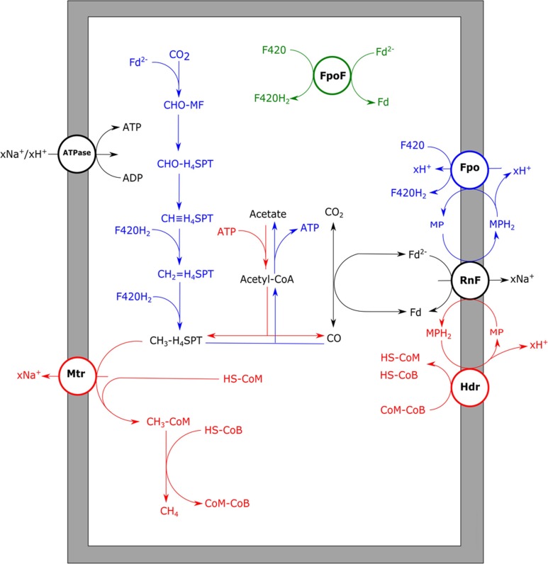 FIGURE 6