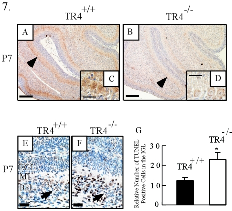 FIG. 7.