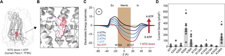 Figure 7.