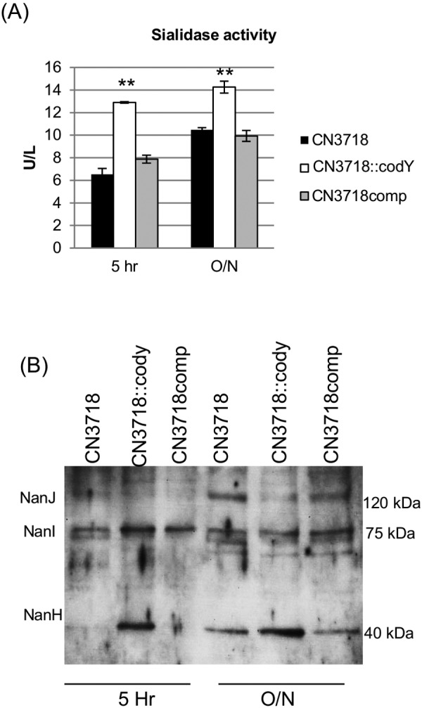 FIG 3 