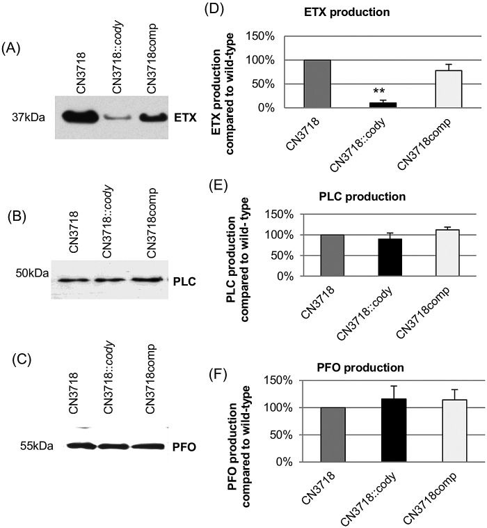 FIG 1 