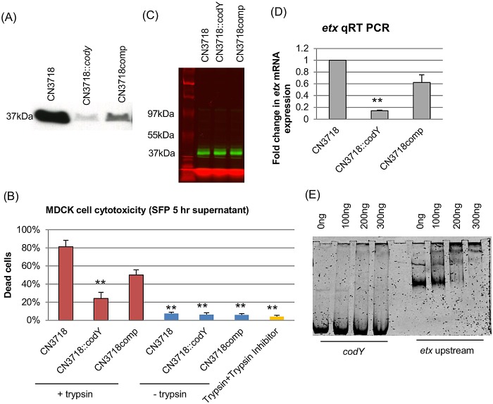 FIG 2  