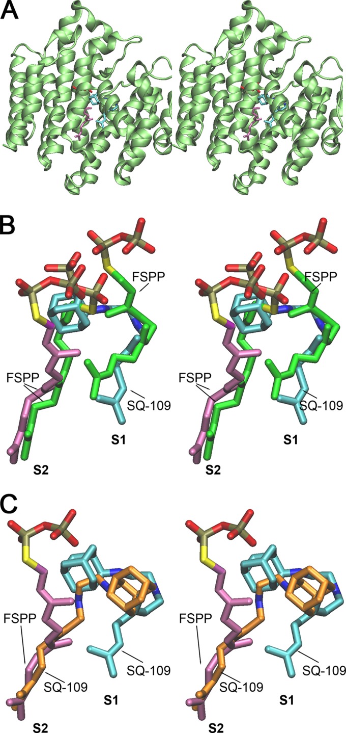 FIG 10