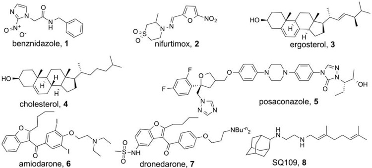 FIG 1