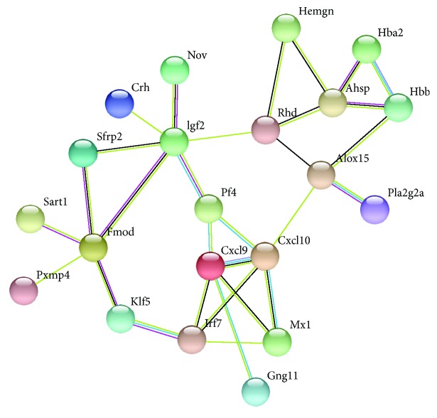 Figure 2