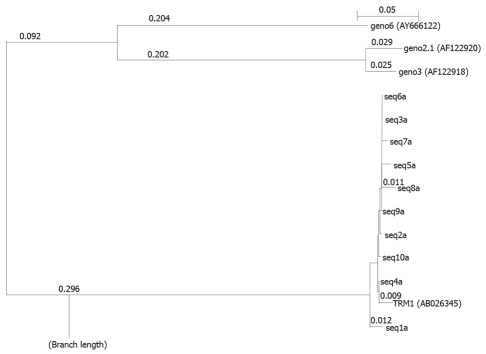 Figure 5