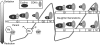 FIG. 2.