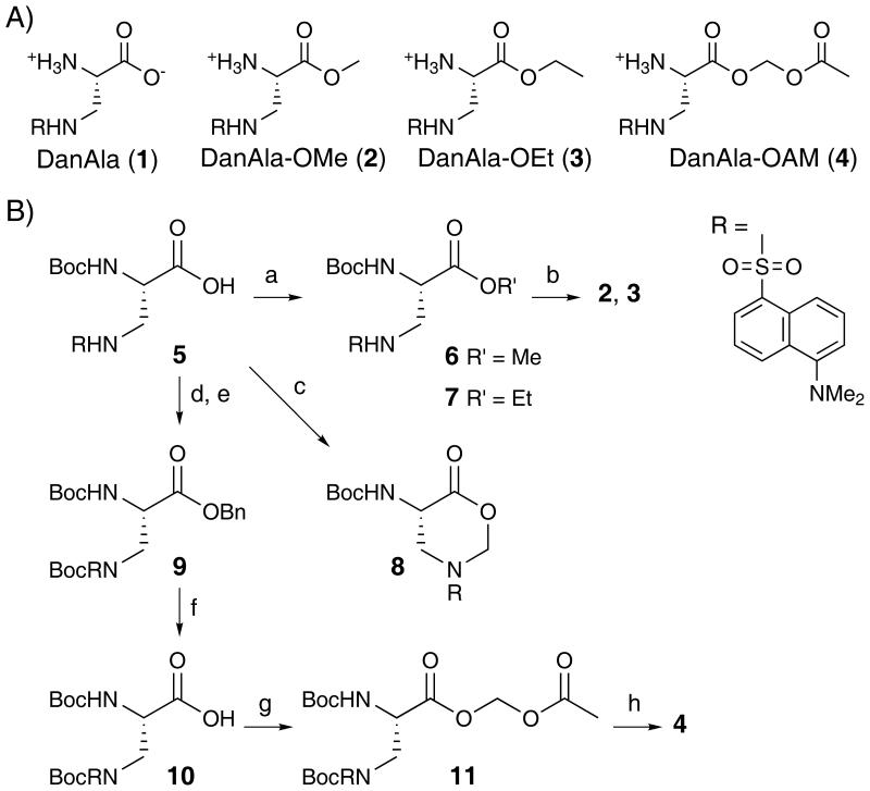 Scheme 1